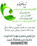 دکتر زیبا افروزه
